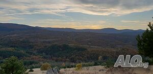 image_24