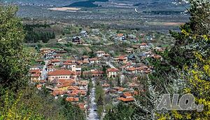 image_23