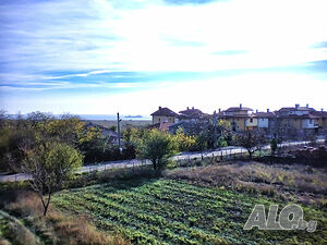 image_6