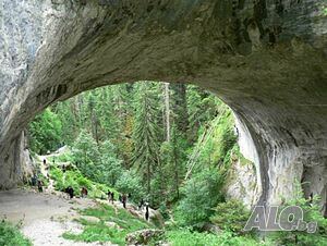 image_20
