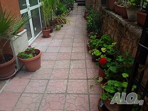 image_15