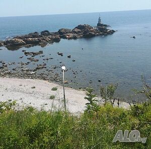 image_7
