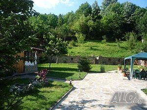 image_19