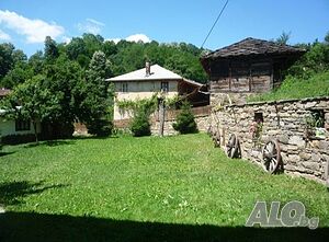image_21