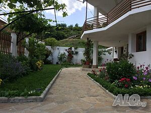 image_3