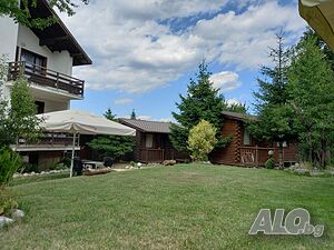 image_9
