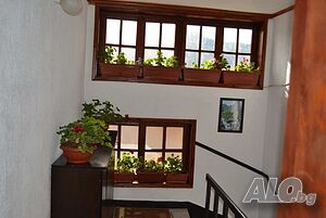 image_18