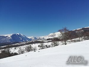 image_38