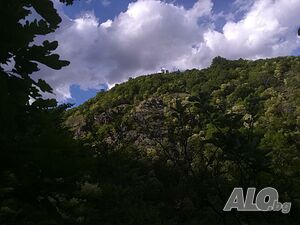 image_36