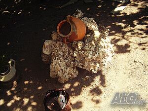 image_5