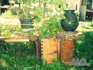image_7