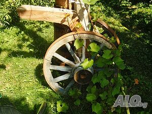 image_8
