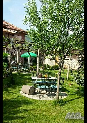 image_11