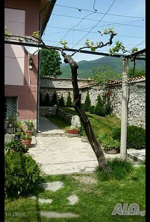 image_15
