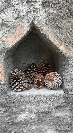 image_21