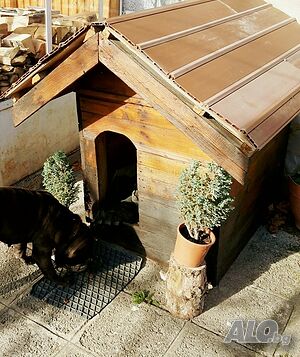image_26