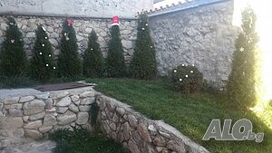 image_30