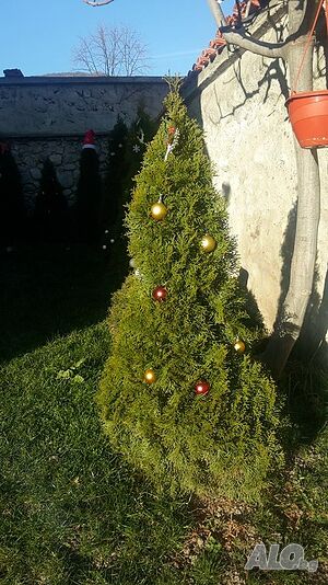 image_32