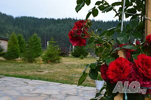 image_20