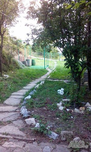 image_9