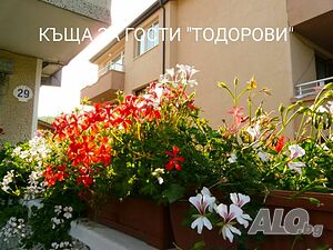 Легло в стая Къща за гости Тодорови в Обзор