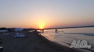 image_11