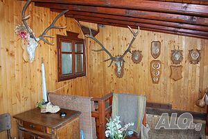 image_17