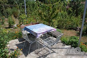 image_31