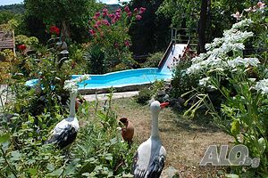 image_32
