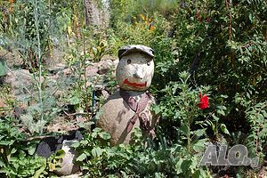 image_33