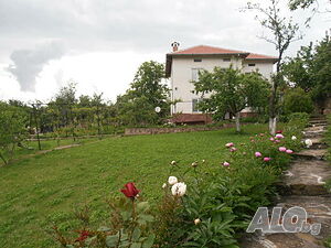 image_2