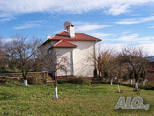 image_5