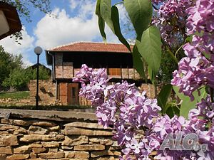 image_17