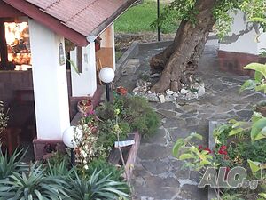 image_22