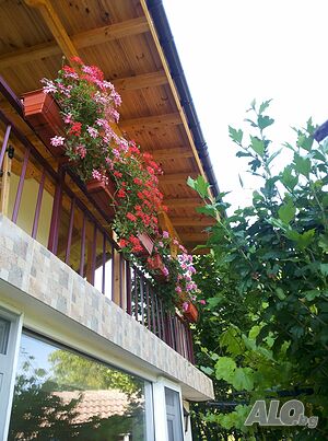 image_27
