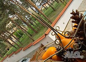 image_21