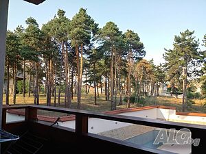 image_22