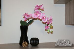 image_20