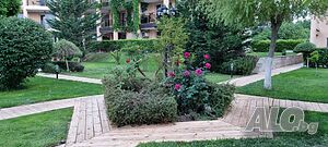 image_24