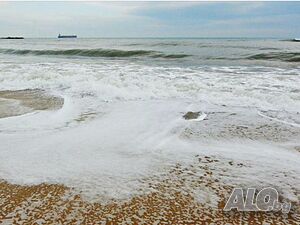 image_22