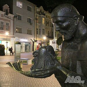 image_19