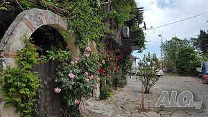 image_9