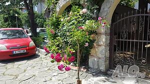 image_16