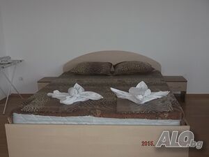 image_40