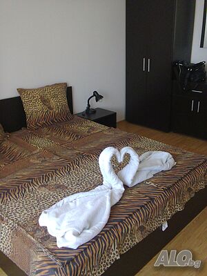 image_6