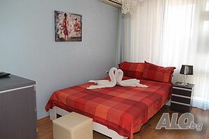 image_6