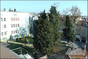 image_12