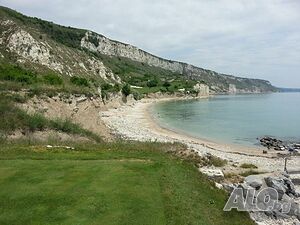 image_22