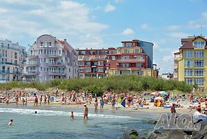image_6