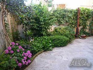 image_8